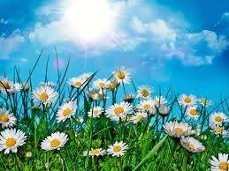 Sumarlokun skrifstofu FMOS