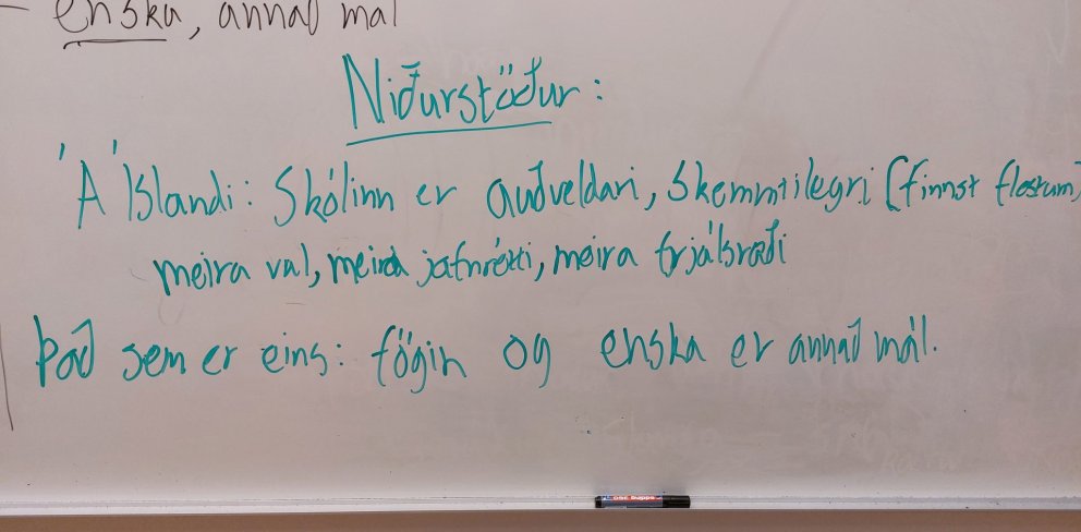 Nokkrar niðurstöður dagsins