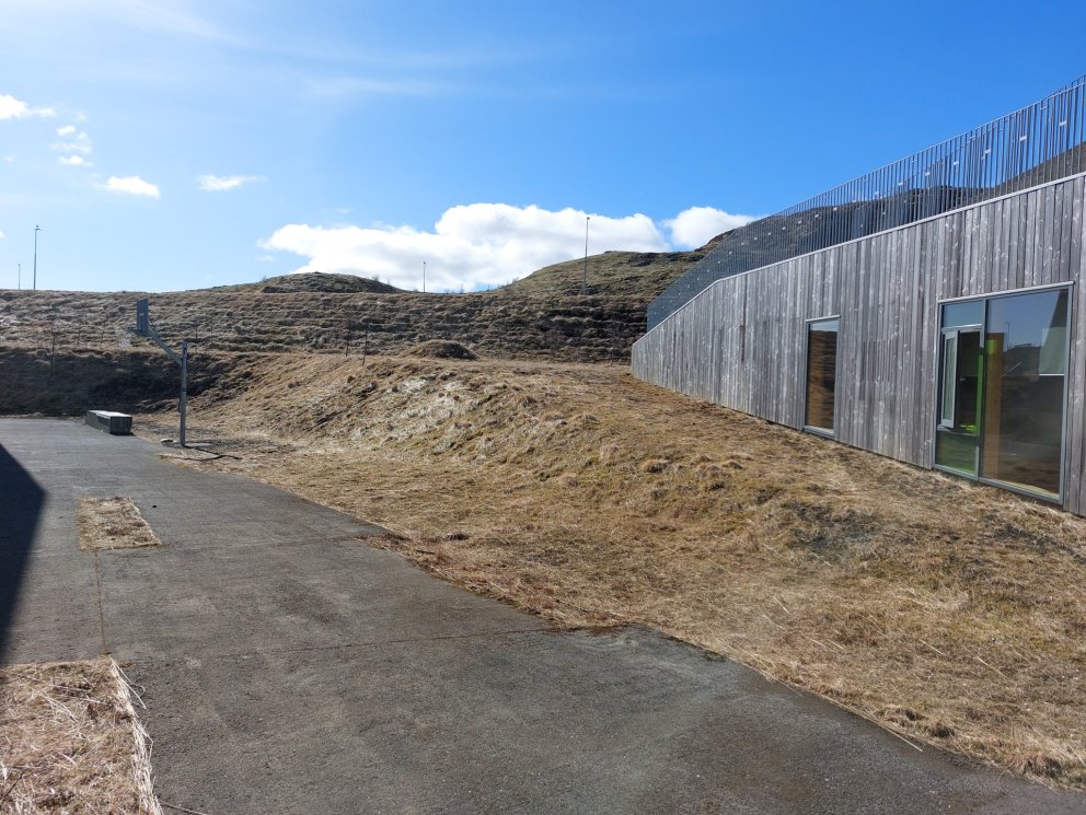 Sólardagur í portinu.