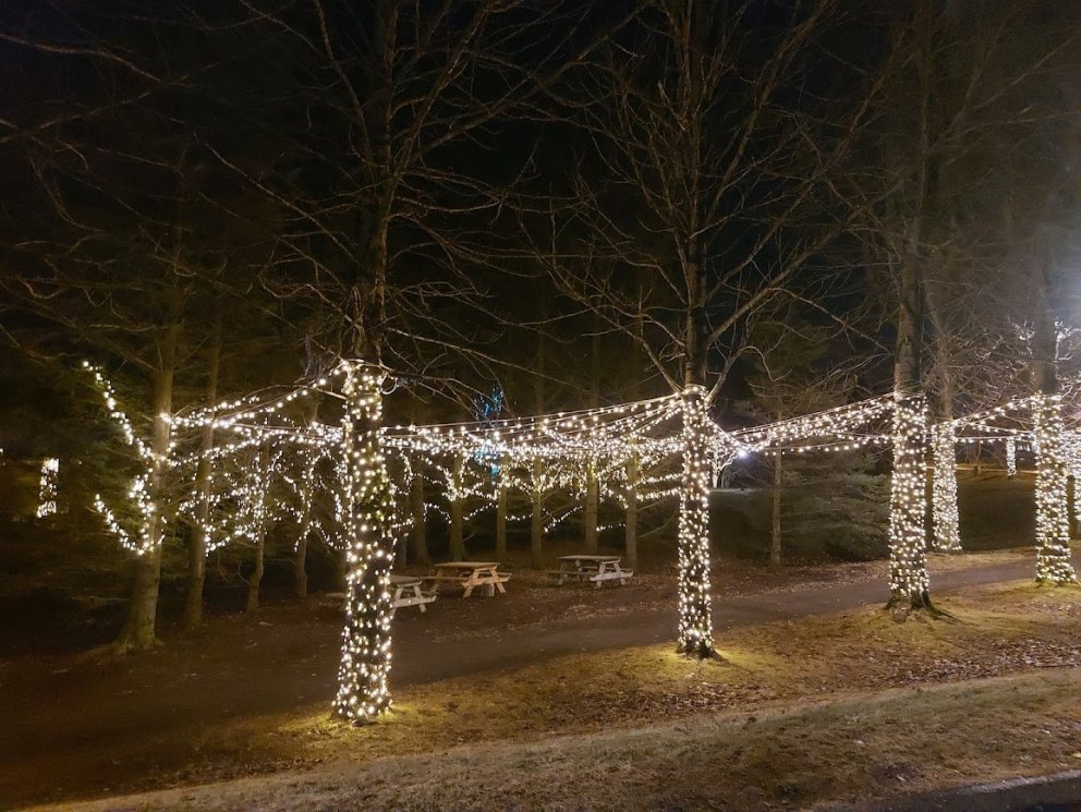 Gleðileg jól og farsælt komandi ár