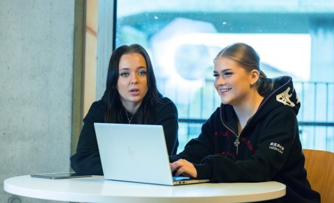 Endurskiladagur og úrvinnsludagar