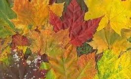 Innritun í framhaldsskóla á haustönn 2021