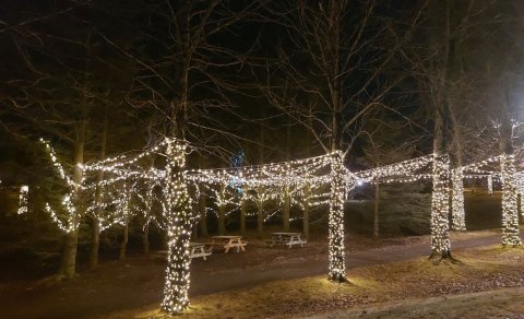 Gleðileg jól og farsælt komandi ár