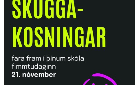Skuggakosningar