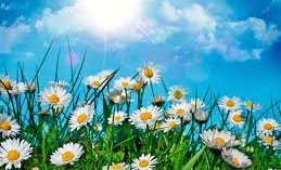 Sumarlokun skrifstofu FMOS